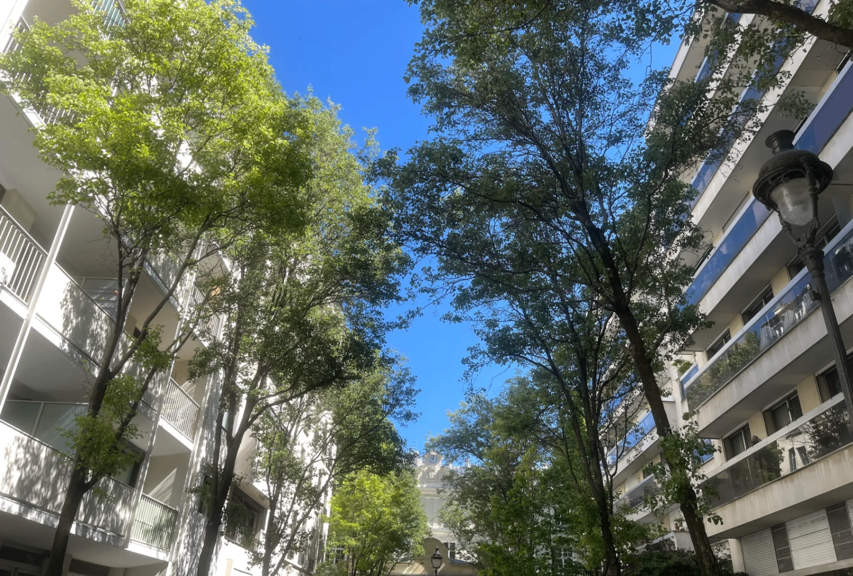 Ciel et arbres de la Villa Compoint